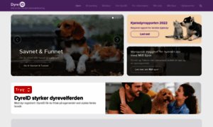 Dyreidentitet.no thumbnail