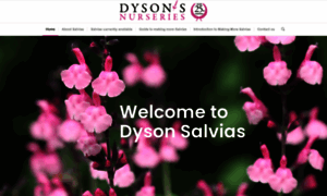 Dysonsalvias.com thumbnail