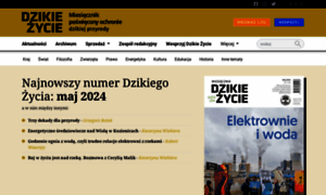 Dzikiezycie.pl thumbnail