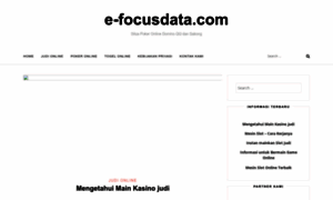 E-focusdata.com thumbnail