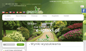 E-iglaki.pl thumbnail