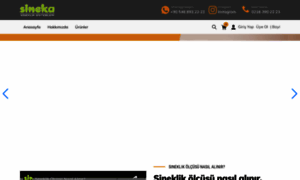 E-sinekasineklik.com thumbnail
