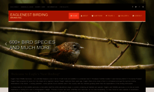 Eaglenestbirding.com thumbnail