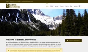 Easthillendodontics.com thumbnail