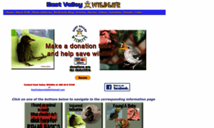 Eastvalleywildlife.org thumbnail