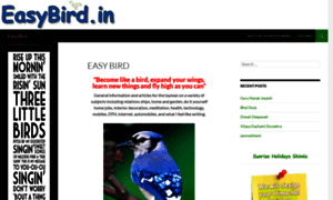 Easybird.in thumbnail
