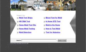 Easyhomemoldtest.com thumbnail