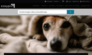 Easypix.com.br thumbnail