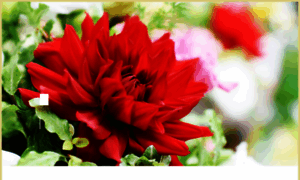 Ebisu-flower.com thumbnail