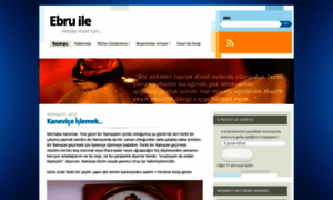 Ebruile.wordpress.com thumbnail