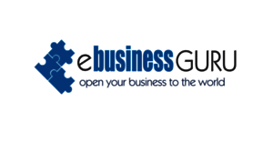 Ebusinessguru.eu thumbnail