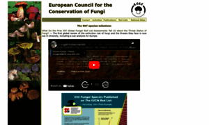 Eccf.eu thumbnail