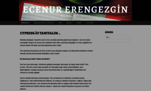 Ecenurerengezgin.wordpress.com thumbnail