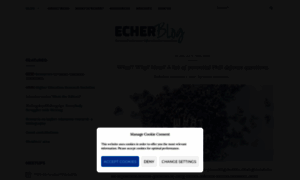 Echer.org thumbnail