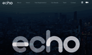 Echogroup.co thumbnail