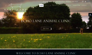 Echolaneanimalclinic.com thumbnail