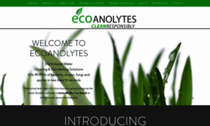 Ecoanolytes.com thumbnail