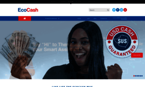 Ecocash.co.zw thumbnail