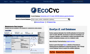 Ecocyc.org thumbnail