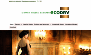 Ecodry.fr thumbnail