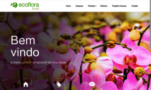 Ecoflora.com.br thumbnail