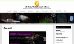 Ecole-du-chat-bordeaux.com thumbnail