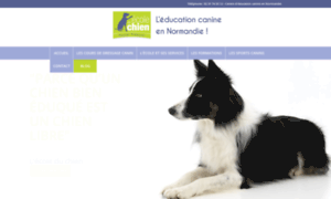 Ecole-du-chien.fr thumbnail