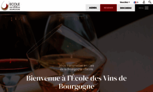 Ecoledesvins-bourgogne.com thumbnail