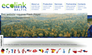 Ecolinkbaltic.com thumbnail