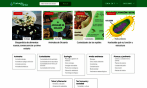 Ecologiaverde.com thumbnail