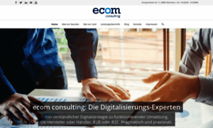 Ecom-consulting.de thumbnail