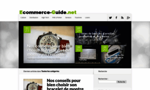 Ecommerce-guide.net thumbnail
