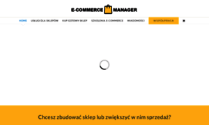 Ecommerce-manager.pl thumbnail