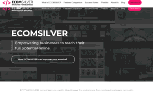 Ecomsilver.com thumbnail