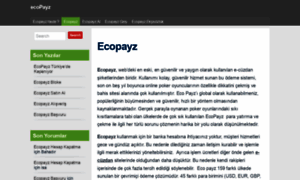 Ecopayz.me thumbnail
