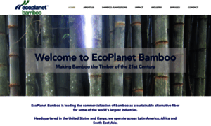 Ecoplanetbamboo.com thumbnail