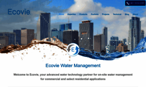 Ecoviewater.com thumbnail