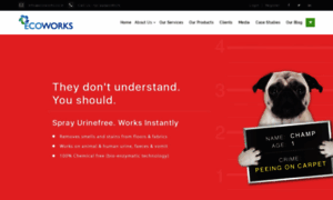 Ecoworks.co.in thumbnail