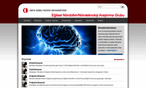 Ed-neuro.ceit.metu.edu.tr thumbnail