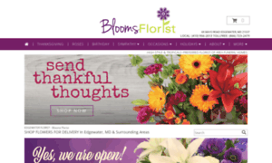 Edgewatermdflorist.com thumbnail