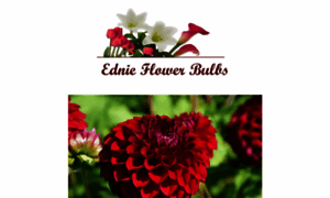 Ednieflowerbulb.com thumbnail