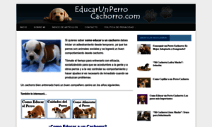 Educarunperrocachorro.com thumbnail