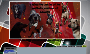 Educationcanine.forumactif.com thumbnail