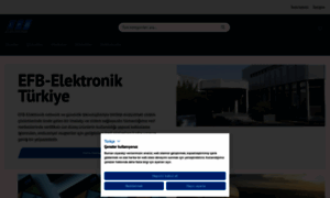 Efb-elektronik.com.tr thumbnail