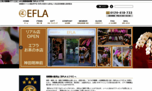 Efla.shop thumbnail