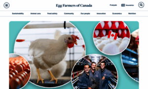Eggfarmers.ca thumbnail