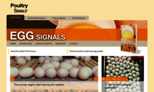 Eggsignals.com thumbnail