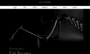 Eiji-yuzawa.com thumbnail