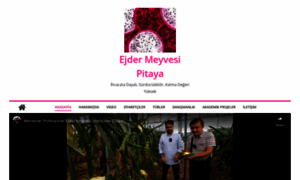 Ejdermeyvesipitaya.com thumbnail