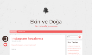 Ekinvedoga.wordpress.com thumbnail